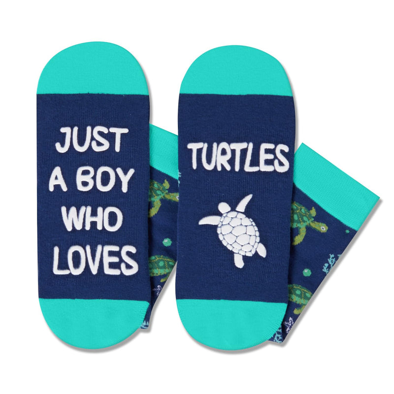 HAPPYPOP Turtle Tortoise Gifts for Teen Boys - Ocean Animal Lover Gifts for Adult, Turtle Socks Kids 13-18 Years