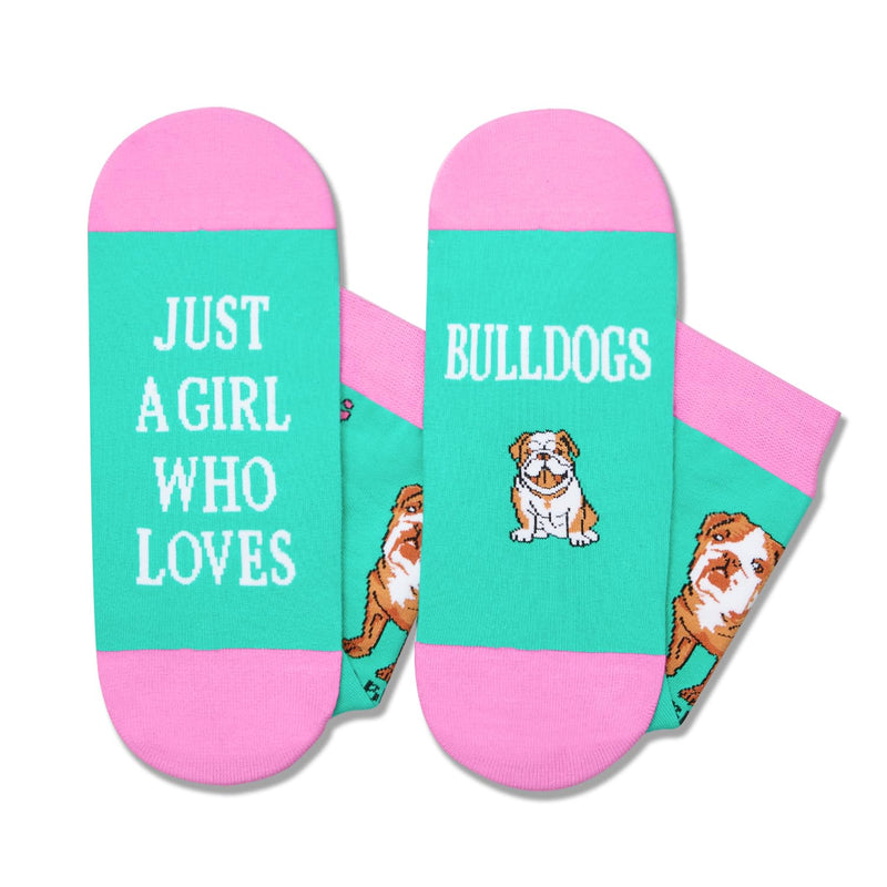 English Bulldog Gifts for Women - Pitbull gifts, Novelty English Bulldog Socks Crazy Silly Fun Socks