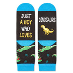 HAPPYPOP Crazy Dino Dinosaur Socks for Kids - Dinosaur Gifts for Boys, Novelty Funny Kids Socks 7-10 Years